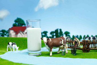 牛奶牧场自然草地草原拍摄