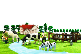 奶牛牧场农场纯净氛围素材