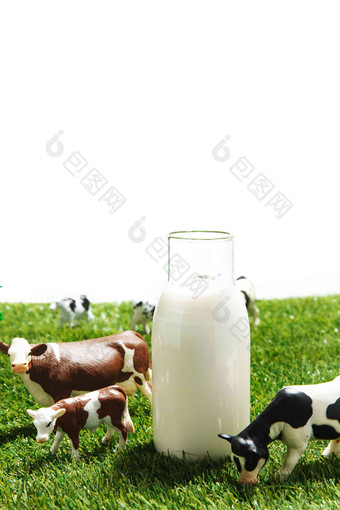 牛奶牧场静物乳业清晰摄影图