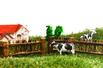 奶牛牧场农业绿色食品清晰场景