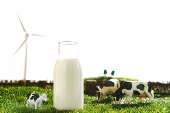 牛奶牧场奶牛农业动物形象高清相片