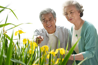 老年夫妇在公园欣赏鲜花