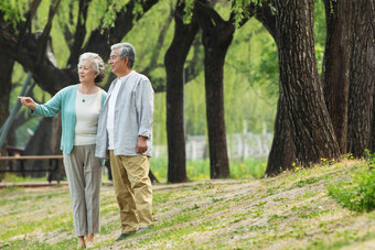 老年夫妇在公园里散步彩色图片高清图片