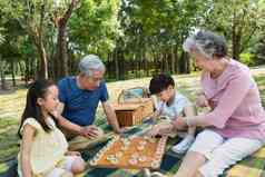 欢乐家庭在户外下象棋