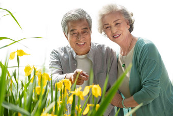 老年夫妇在公园里欣赏花卉