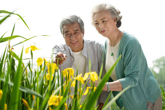 老年夫妇在公园里欣赏花卉