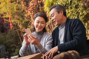 老年夫妇在庭院使用手机退休清晰镜头