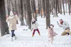 雪地里打雪仗的快乐家庭亲情高端图片