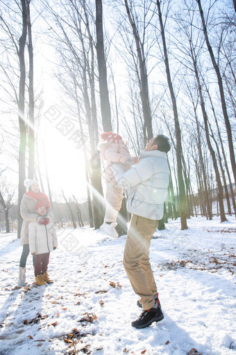 雪地里玩耍的欢乐家庭树林氛围相片