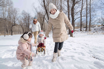 欢乐家庭在雪地上玩雪橇可爱的高清摄影图