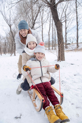 在雪地上玩雪橇的一家人成年人高端影相