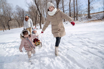 欢乐家庭在雪地上玩雪橇亲情高质量镜头