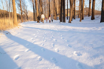 快乐家庭在雪地里散步