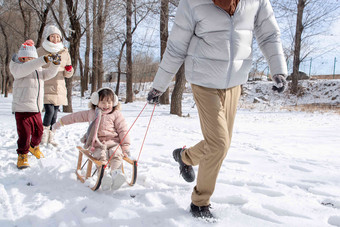 欢乐家庭在<strong>雪地</strong>上玩雪橇