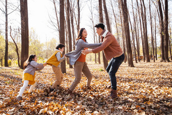 秋天幸福家庭在户外做游戏温馨清晰拍摄