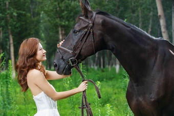 漂亮的青年女人抚摸<strong>骏马</strong>