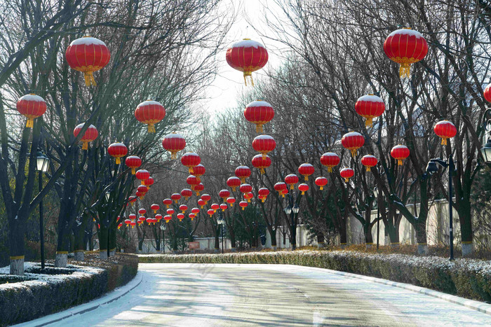 别墅区雪景灯笼建筑路高质量镜头