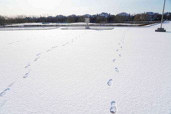 雪景雪地水的凝结形态高清场景