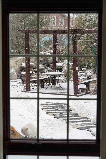 雪景雪地户外玻璃窗冬至场景