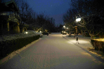 别墅区雪景路民居房屋人造建筑写实素材