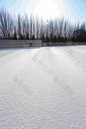 雪景摄影低视角高端素材