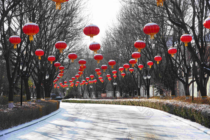 别墅区雪景户外东亚都市风景