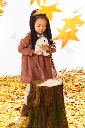 小女孩和小兔子亚洲写实<strong>摄影图</strong>