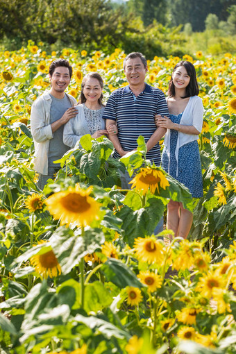 <strong>花海</strong>里的幸福家庭美景氛围素材