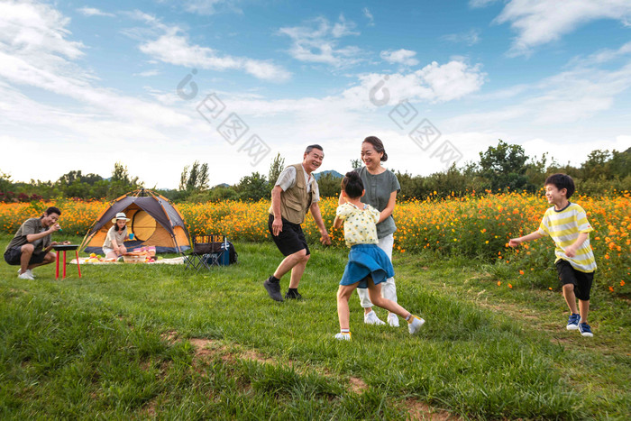 欢乐家庭在户外郊游幸福清晰场景