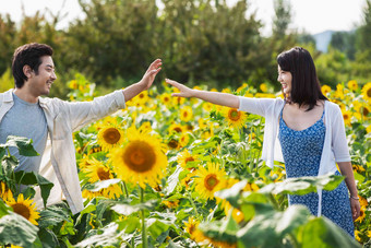 浪漫夫妇走在<strong>花</strong>海里