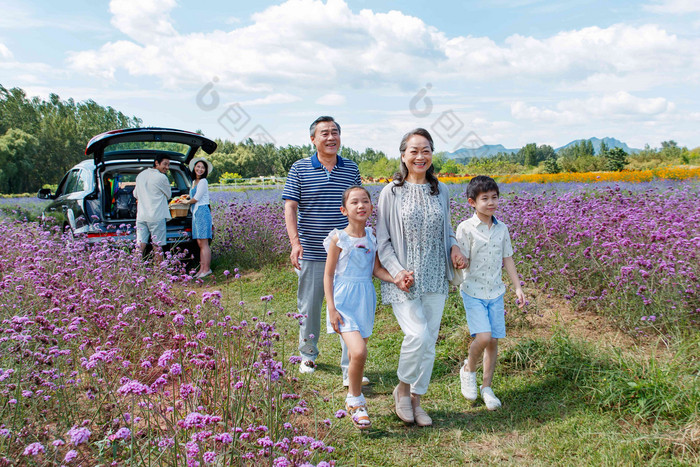 幸福的一家人在郊外玩耍汽车氛围拍摄