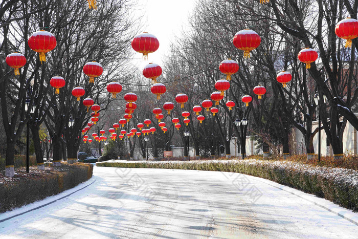 别墅区雪景别墅传统文化巷