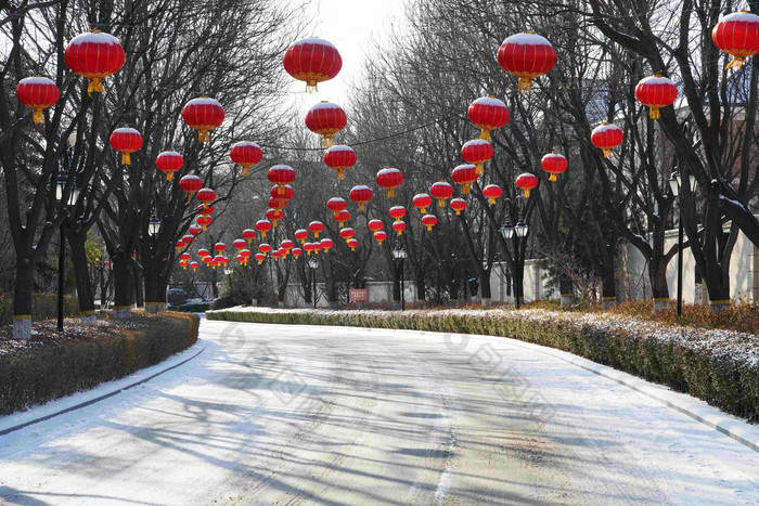 别墅区雪景中国摄影无人高端镜头