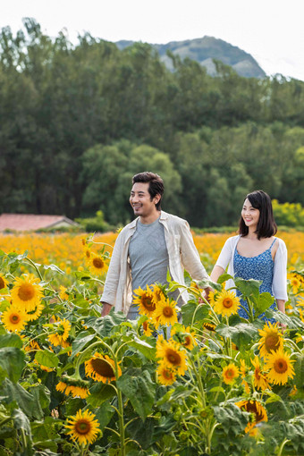 浪漫夫妇走在<strong>花海</strong>里