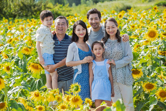 站在向日葵花海里的幸福家庭男孩高清摄影图