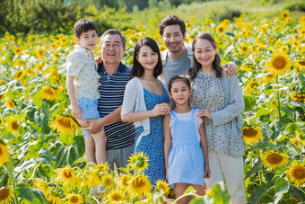 站在向日葵花海里的幸福家庭男孩高清摄影图