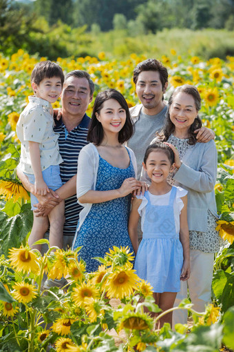 站在向日葵花海里的幸福家庭花海拍摄