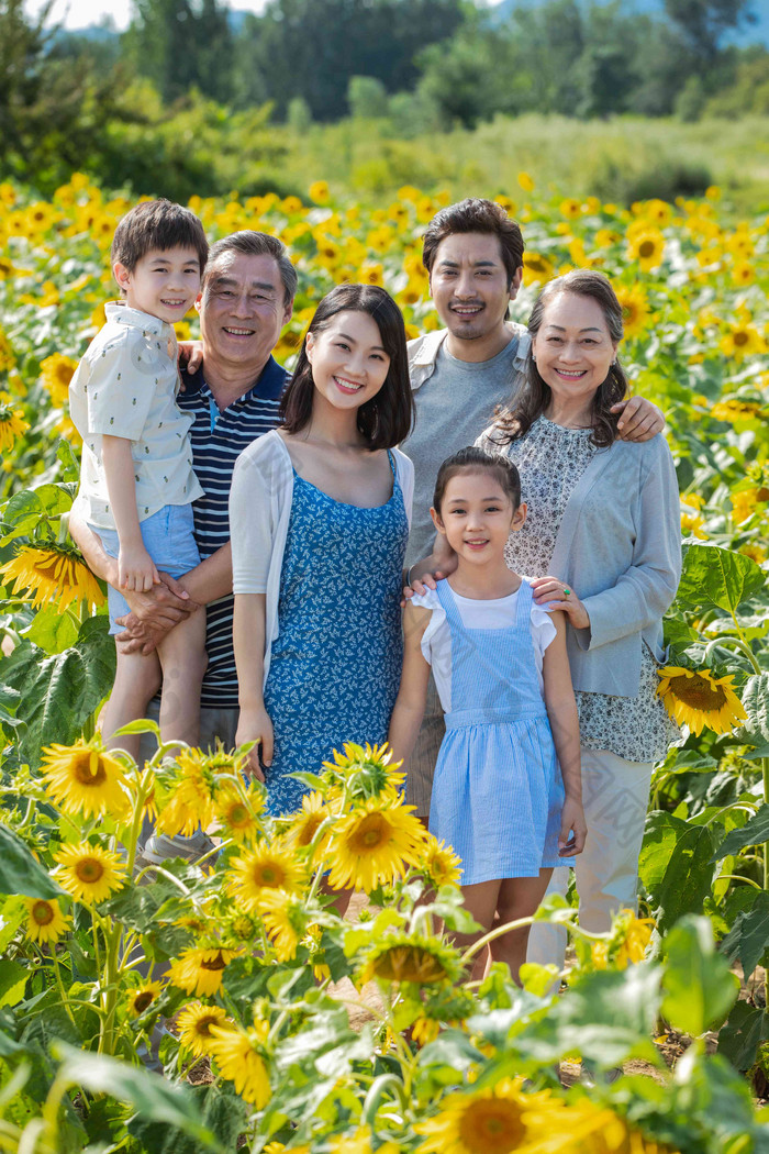 站在向日葵花海里的幸福家庭祖母清晰摄影