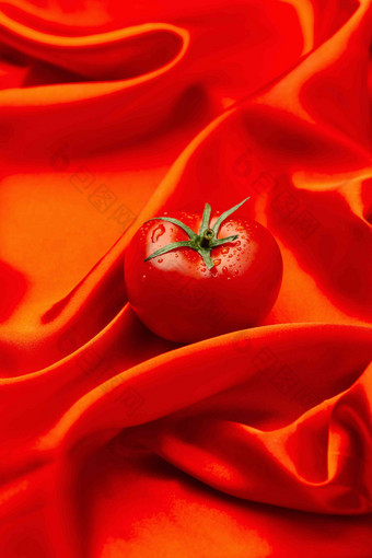 西红柿简单背景清晰照片