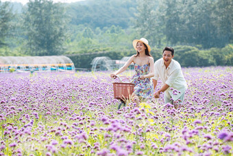 青年夫妇在花海里<strong>骑车</strong>紫色写实拍摄