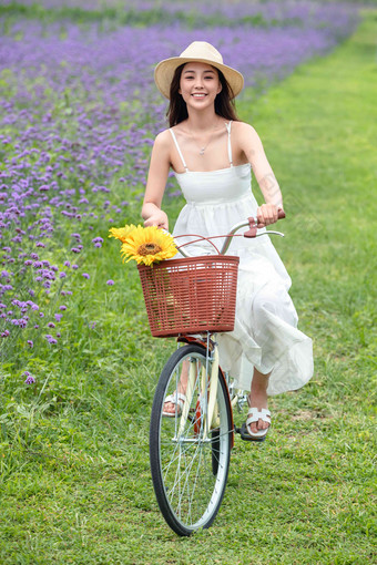 青年女人在花海里骑自行车成年人高清拍摄