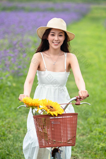 青年女人在花海里骑自行车薰衣草影相