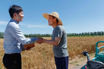 麦田里农民感谢科研人员青年男人写实镜头