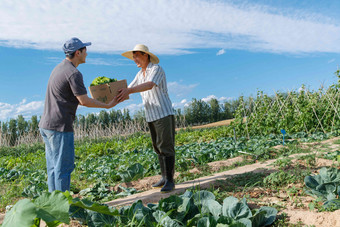 农民将蔬菜交给快递员植物氛围图片