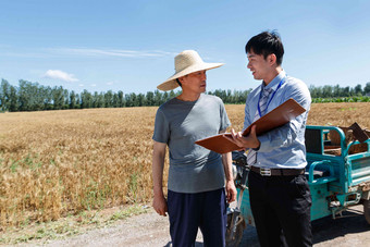 科研人员和农民在麦田旁交流丰收高清图片