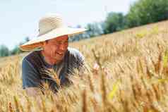 麦田喜悦种植小麦