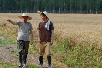 农民和科研人员田野种植青年人