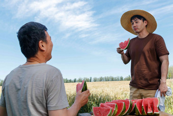 农民在田地旁休息吃西瓜粮食清晰摄影