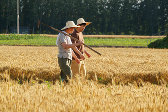 农民和科研人员指导农作物东亚