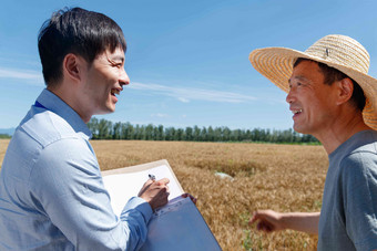 科研人员和<strong>农民</strong>在麦田里交流技术